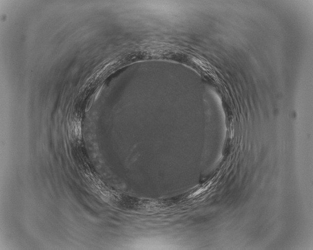 X0000087021155200704301307