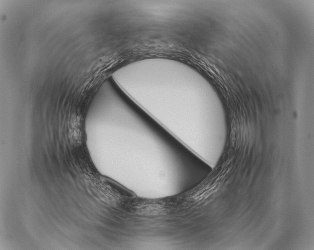 X0000087021156200704301307