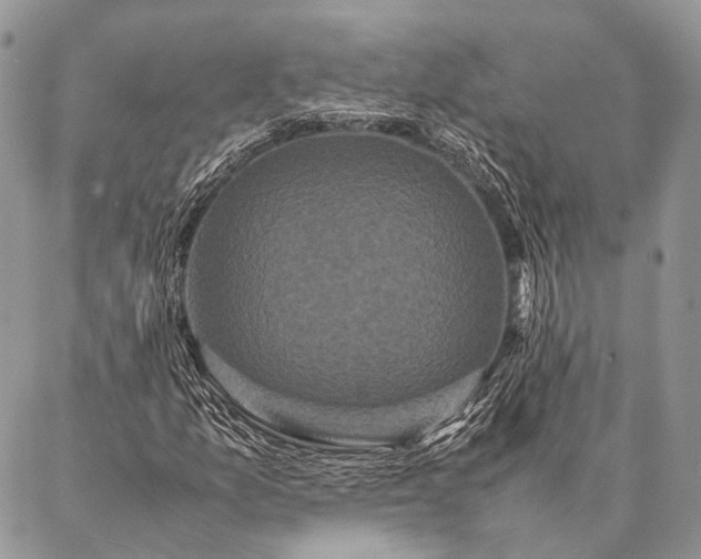 X0000087021157200704301307