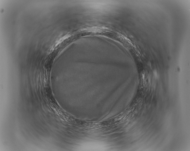 X0000087021158200704301307