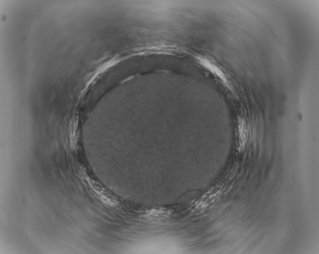 X0000087021160200704301307