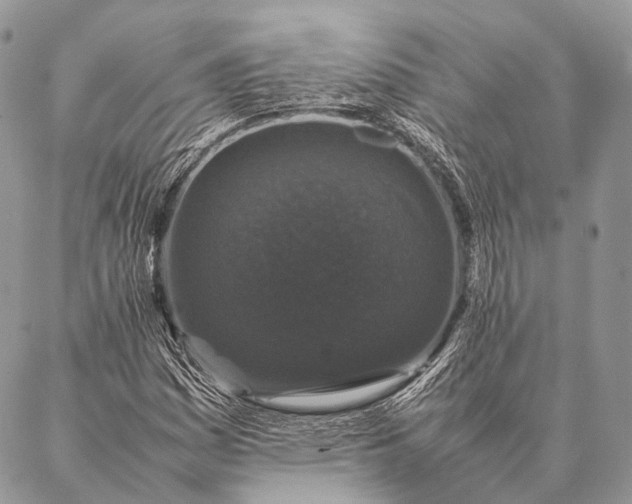 X0000087021161200704301307