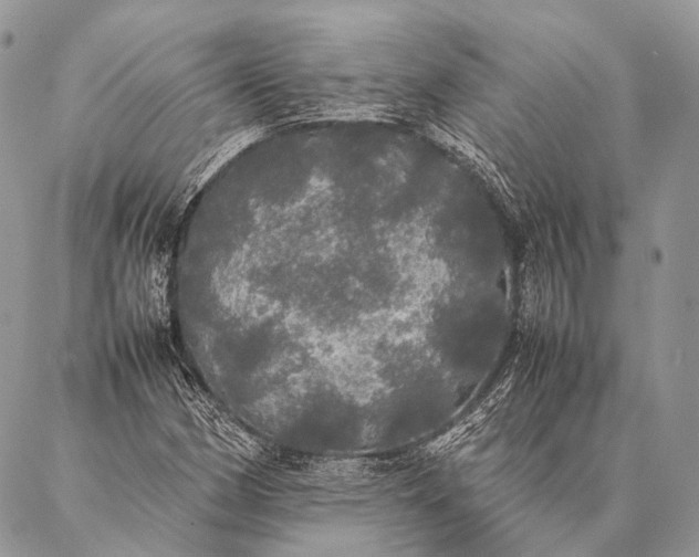 X0000087021162200704301307