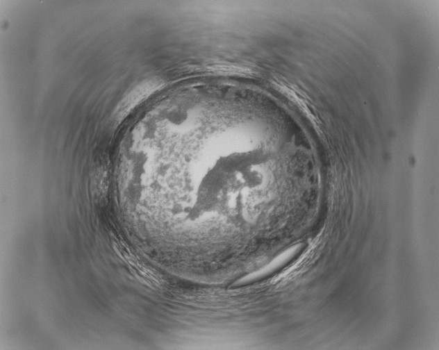 X0000087021163200704301307