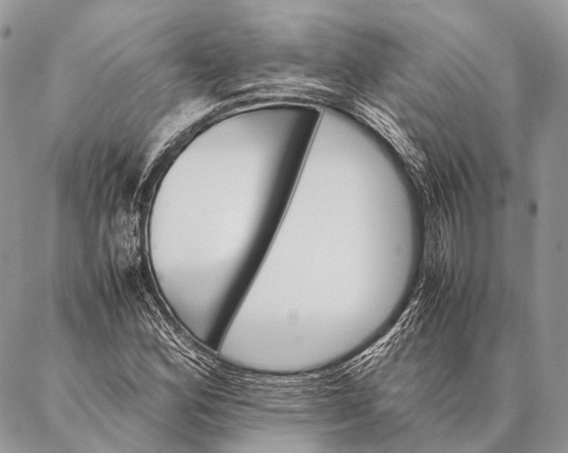 X0000087021164200704301307