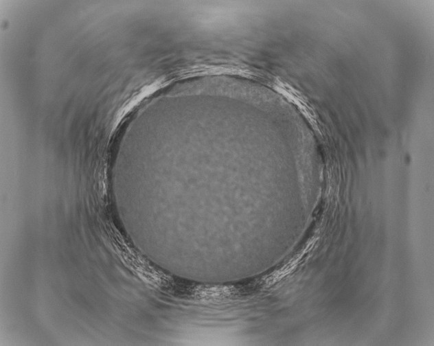 X0000087021165200704301307