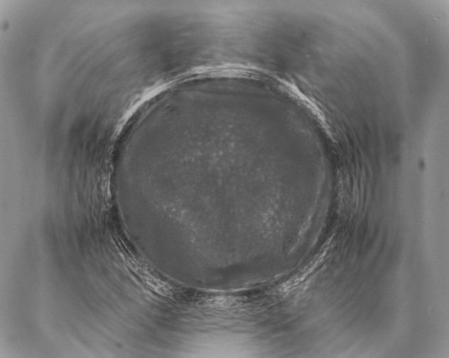 X0000087021166200704301307