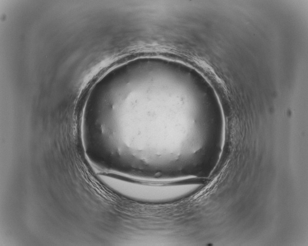 X0000087021167200704301307