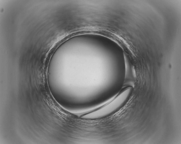 X0000087021168200704301307