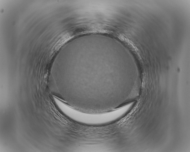 X0000087021169200704301307