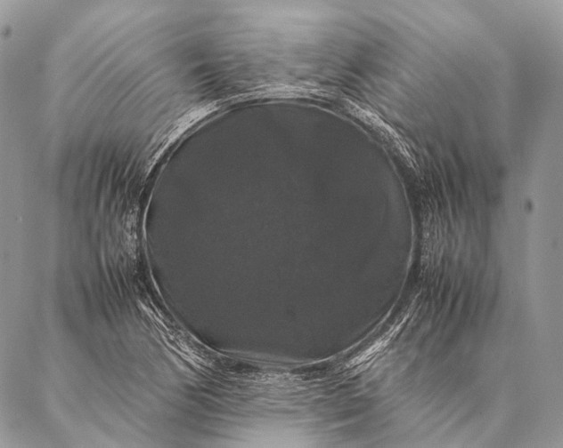 X0000087021170200704301307