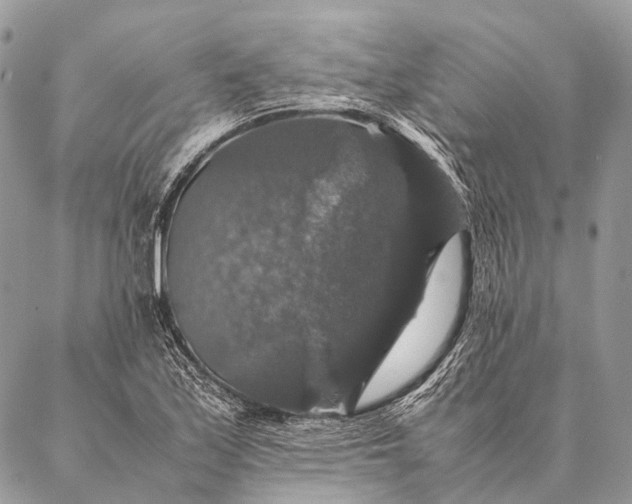 X0000087021171200704301307