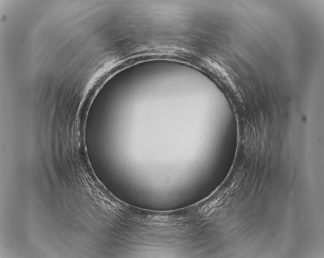 X0000087021172200704301307