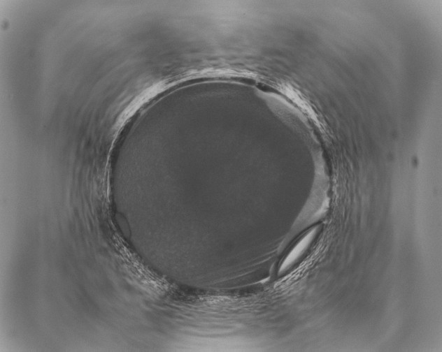 X0000087021173200704301307