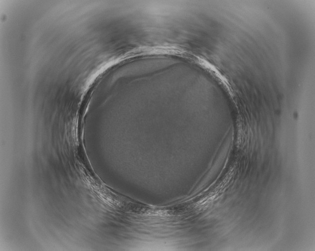 X0000087021174200704301307