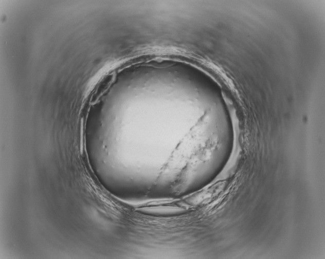 X0000087021175200704301307