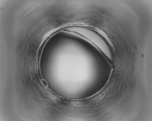 X0000087021176200704301307