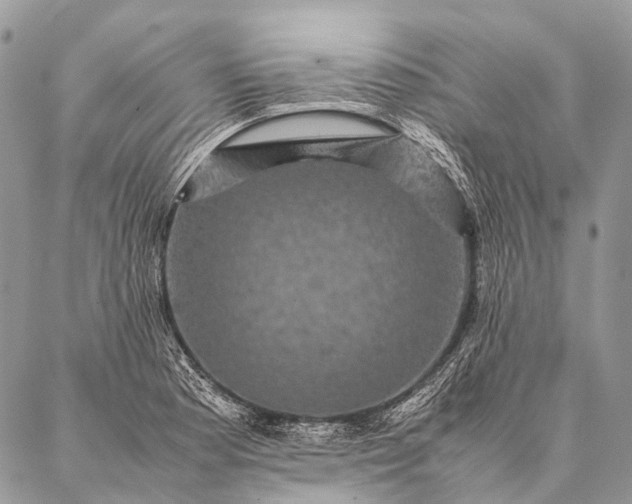 X0000087021177200704301307