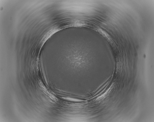 X0000087021178200704301307