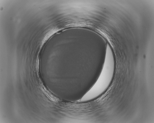 X0000087021179200704301307