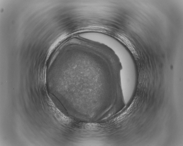 X0000087021180200704301307