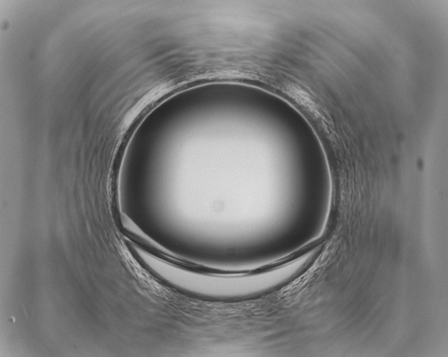 X0000087021181200704301307