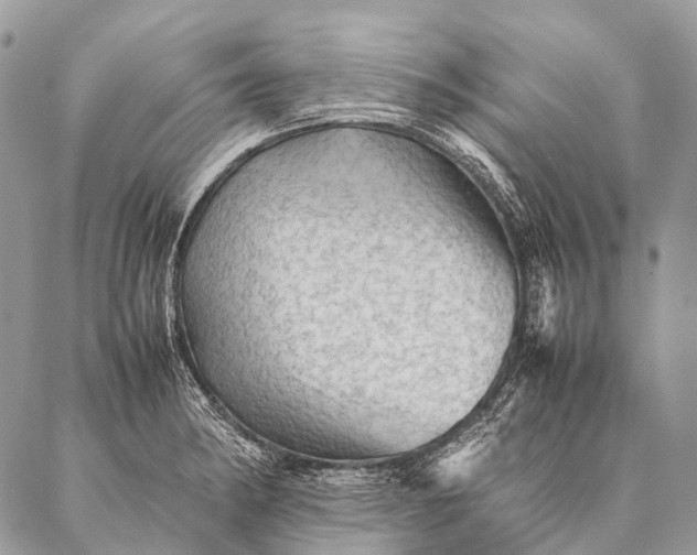 X0000087021182200704301306