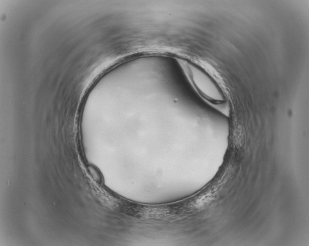 X0000087021183200704301306