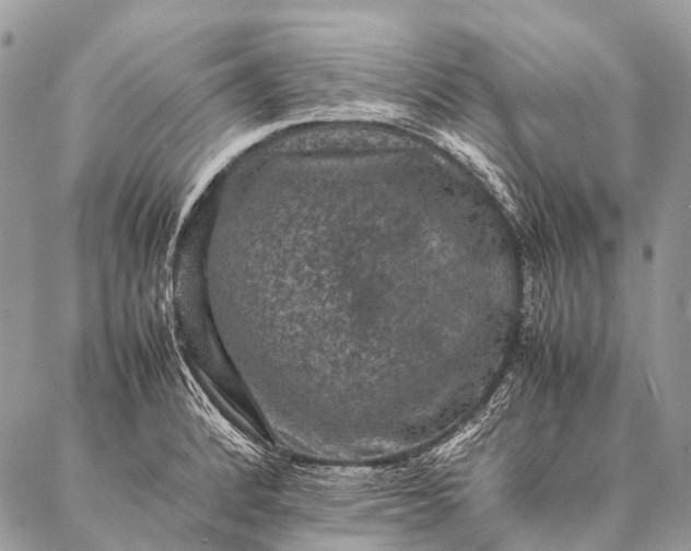 X0000087021184200704301306