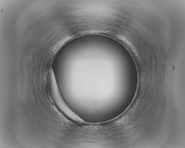 X0000087021185200704301306