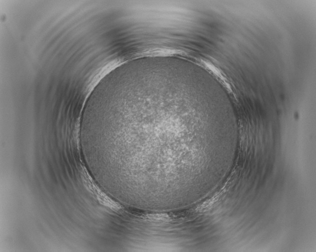 X0000087021186200704301306