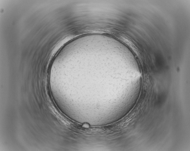 X0000087021187200704301306