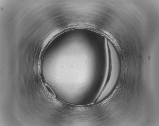 X0000087021188200704301306