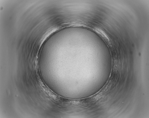 X0000087021190200704301306