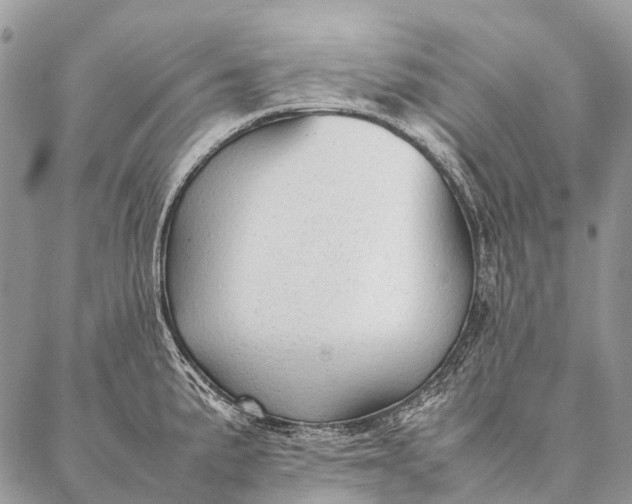 X0000087021191200704301306