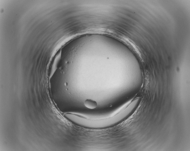 X0000087021192200704301306