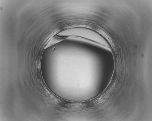 X0000087021193200704301306