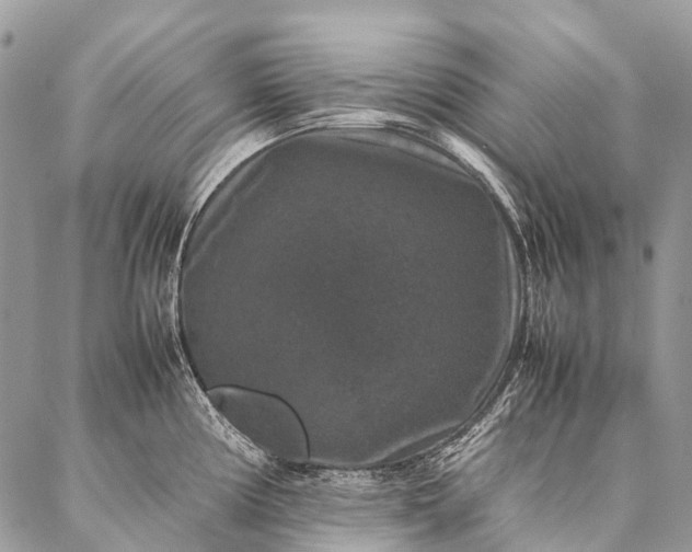 X0000087021194200704301306