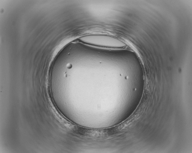 X0000087021195200704301306