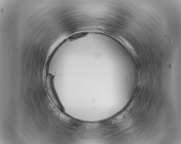 X0000087021196200704301306