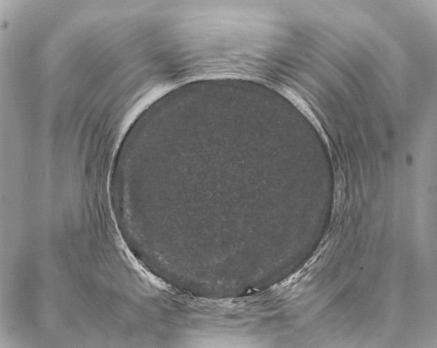 X0000087021197200704301306