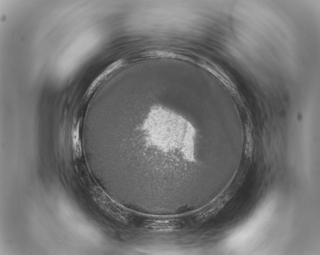 X0000087021198200704301306