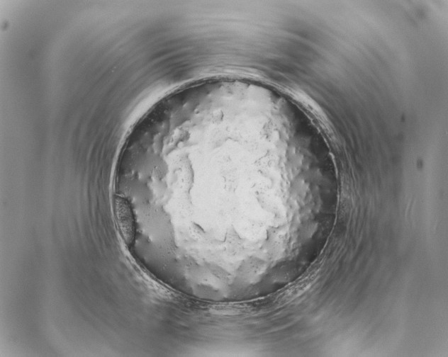 X0000087021199200704301306