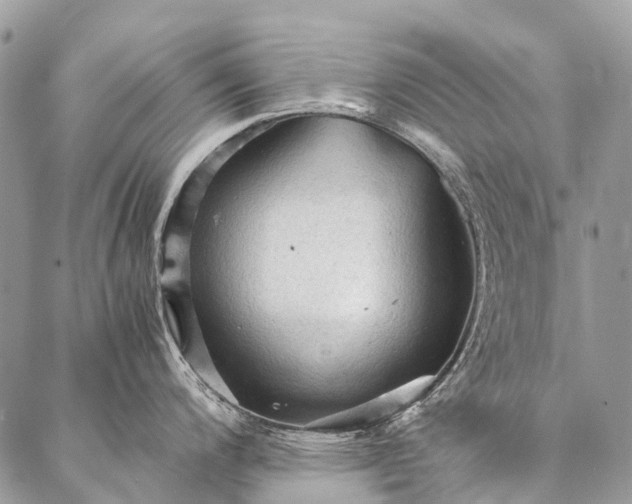 X0000087021200200704301306