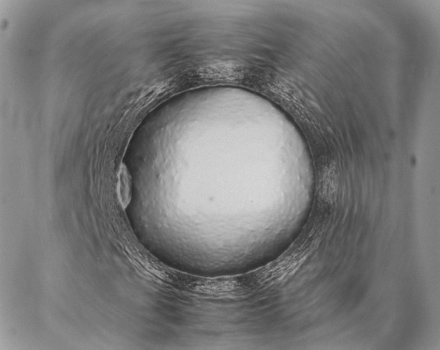 X0000087021201200704301305