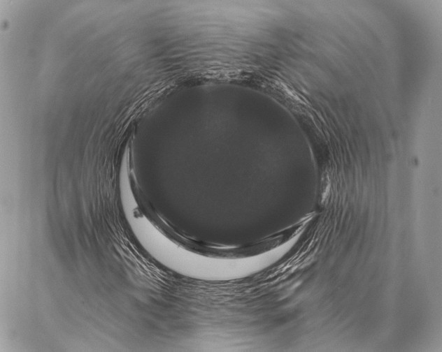 X0000087021202200704301305