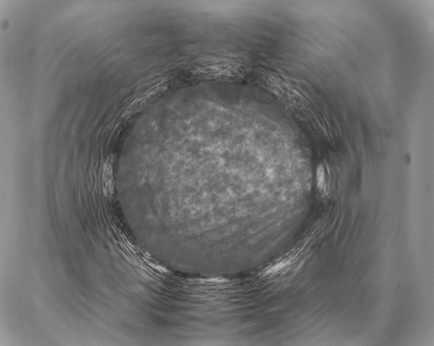 X0000087021203200704301305