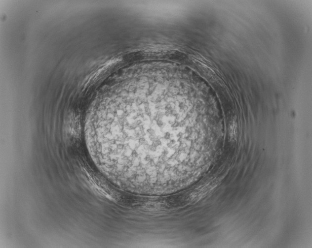 X0000087021204200704301305