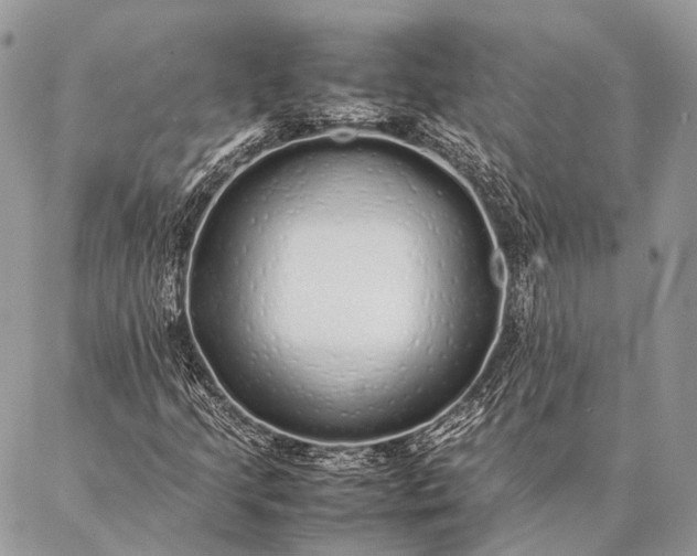 X0000087021205200704301305