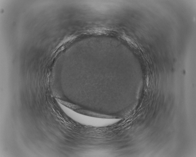 X0000087021206200704301305